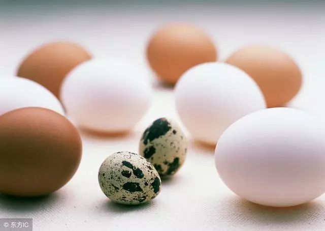小孩吃土鸡蛋和洋鸡蛋有区别吗,土鸡蛋与洋鸡蛋哪个适合孩子吃