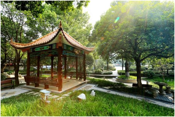 我心永恒书法,我心永恒湖南