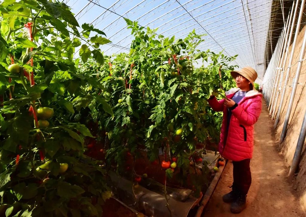 洛阳日报孟津讲了啥,洛阳日报孟津