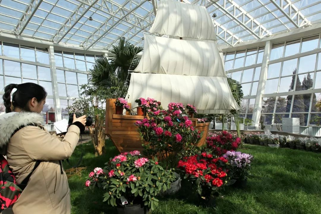 「946·民生」石家庄过年全攻略!医院、银行、演出、商超营业时间地点大汇总!