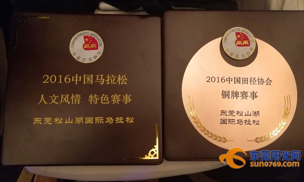 东莞体育展示,东莞市运动会2017赛程