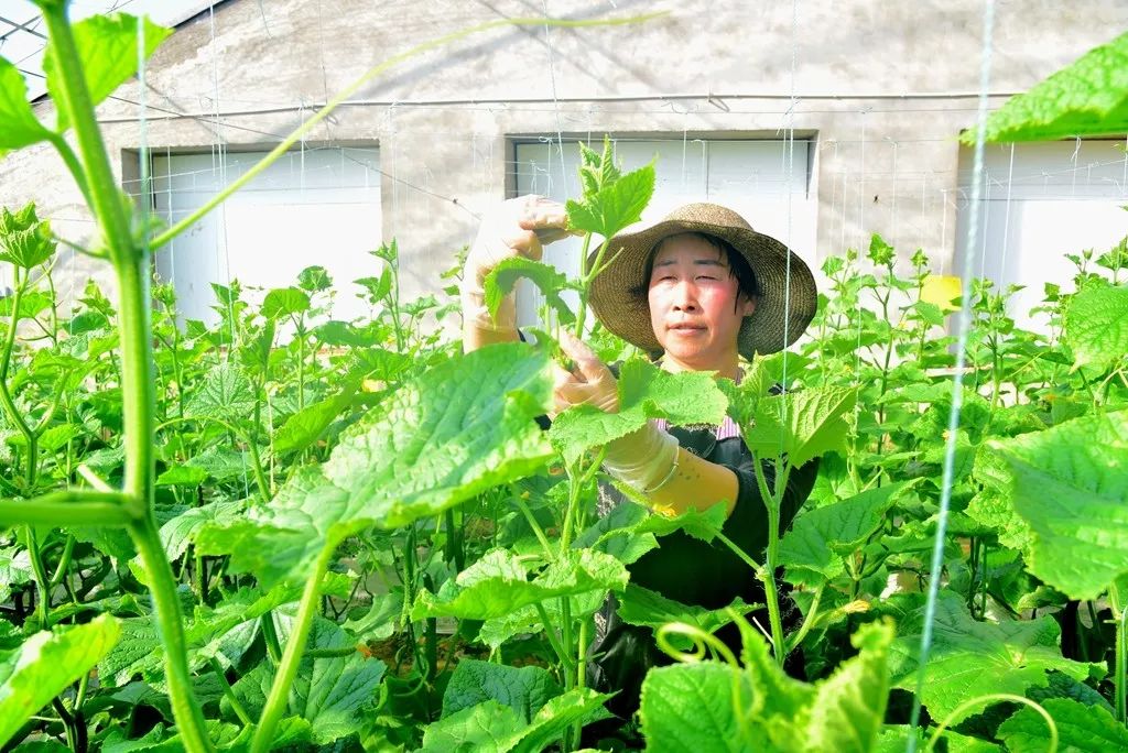 洛阳日报孟津讲了啥,洛阳日报孟津