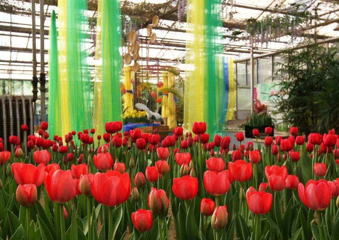 「946·民生」石家庄过年全攻略!医院、银行、演出、商超营业时间地点大汇总!