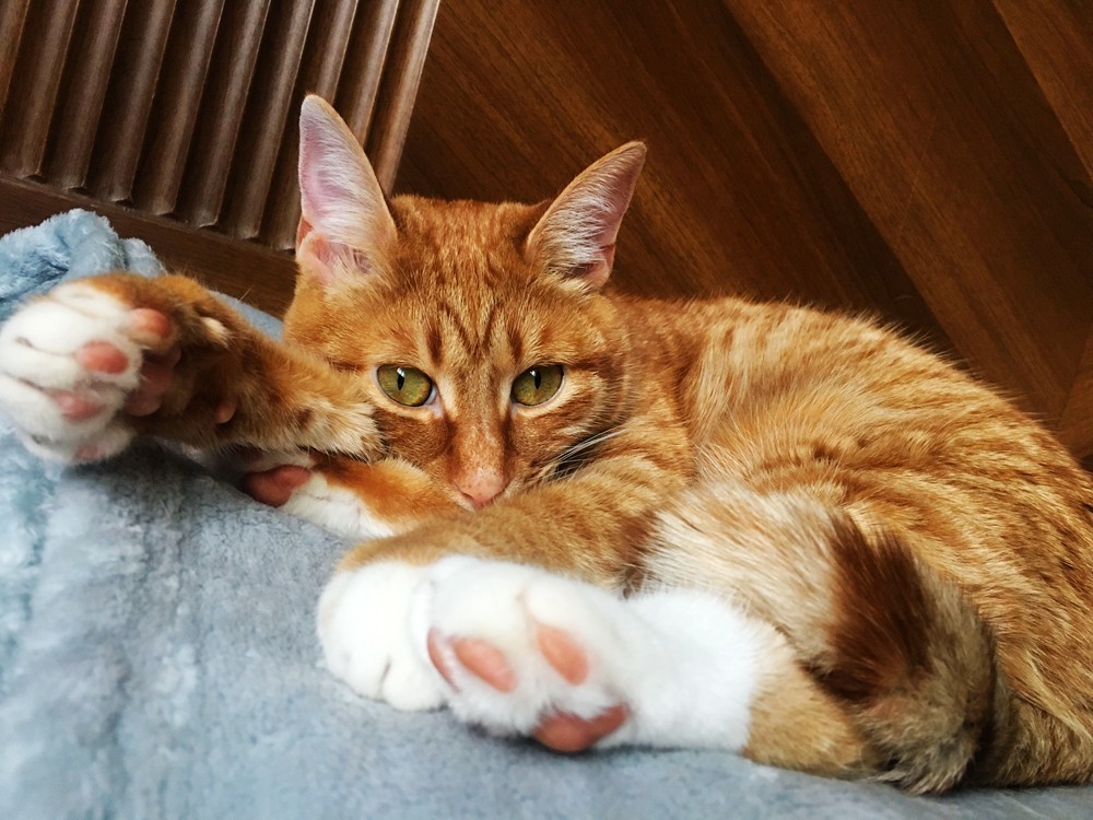 百态年度总结｜这是我最后的波纹疾走！-回顾一年采访对象，顺便祝大家新春快乐