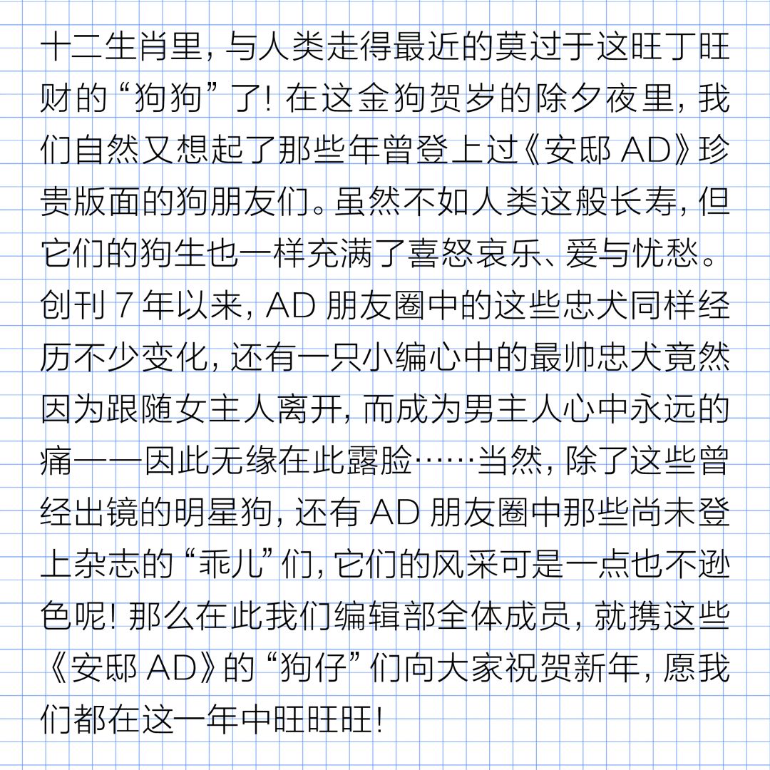 狗年除夕夜|那些上过《安邸AD》的狗朋友们怎么样了?