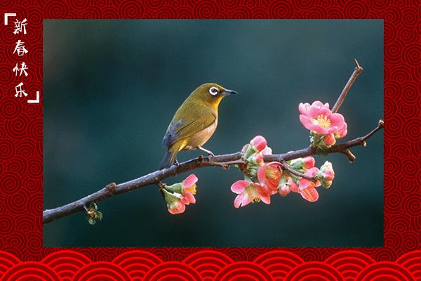 「不同的习俗共同的佳节」贴什么对联？