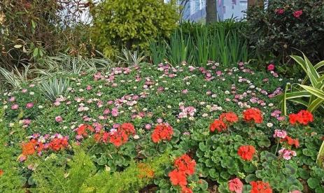 广州花街海心沙,广州海心沙时尚花市