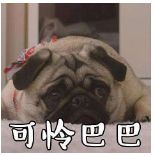 珍惜周日好天气,天气预报冷空气来袭周末大幅降温