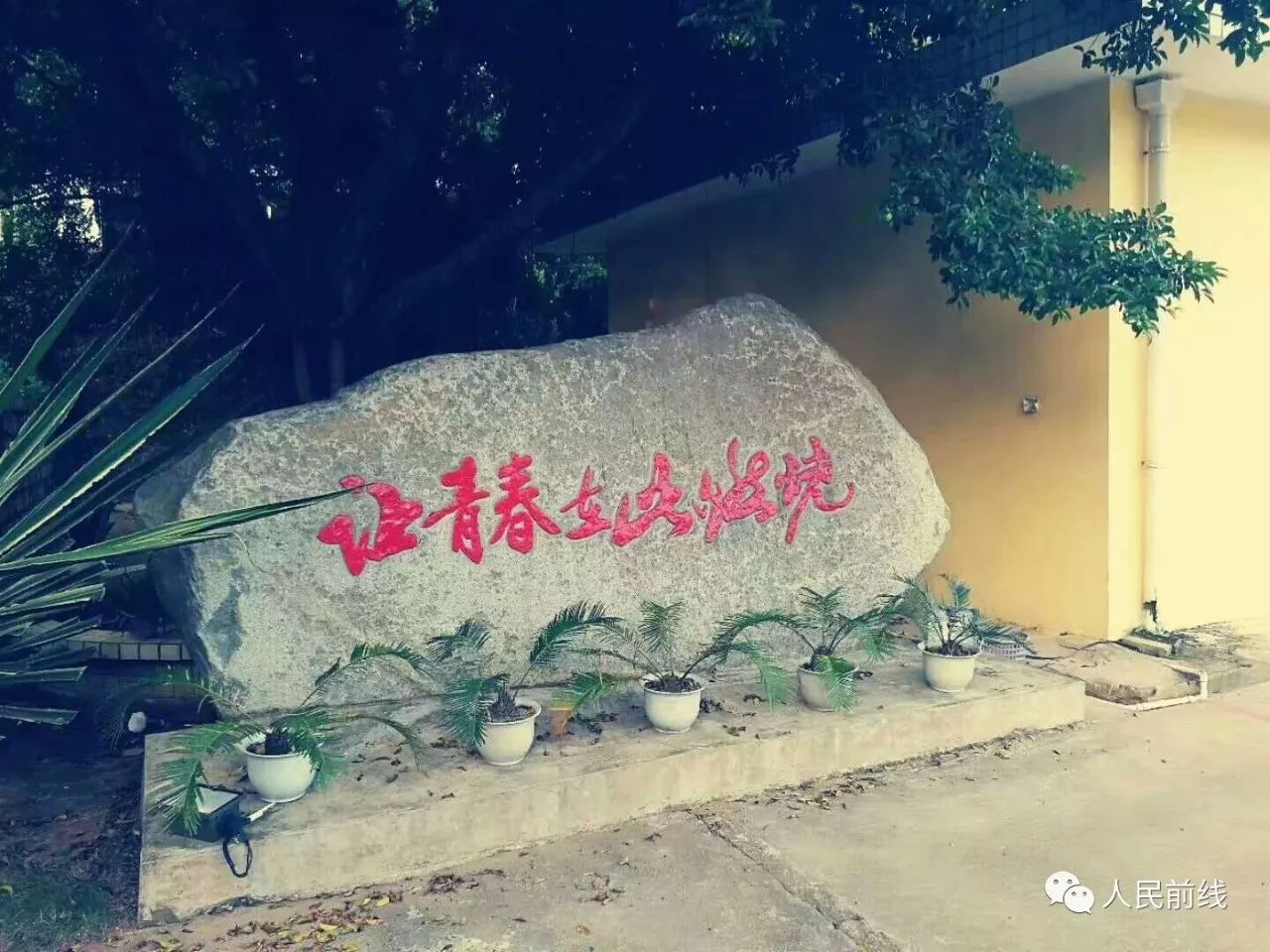 「策划」别天真了,士官哪有那么好当!