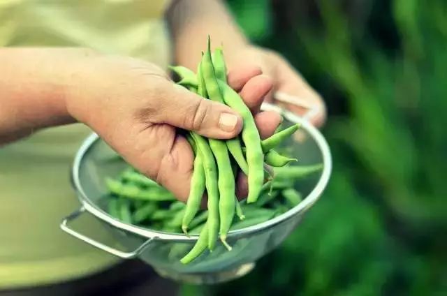 从老家带过来好吃的东西,从老家带东西怎样最划算