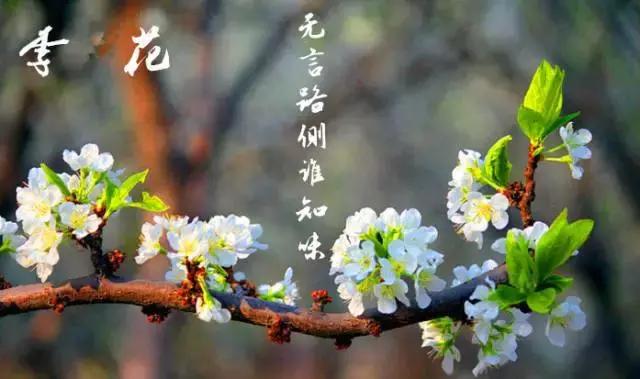 国内风景最好的旅游景点冬天,国内各地最美的十大自驾游线路