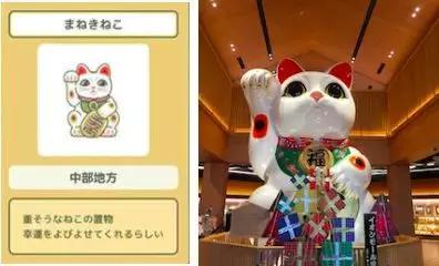 蛙不着家!空巢老母亲就将它去的地方、买的珍品统统扒了一遍!