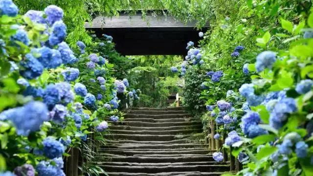 日本旅游攻略镰仓在哪,日本镰仓旅游攻略学生