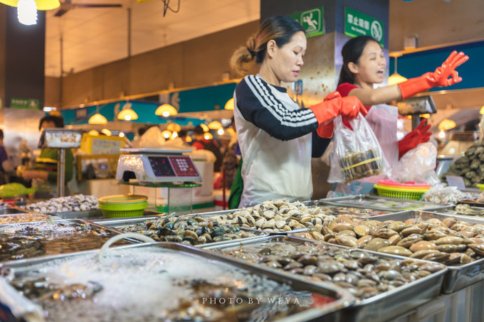 面面旅拍—诉不完千古泪,道不停三亚情,这个冬天我们掌心有太阳