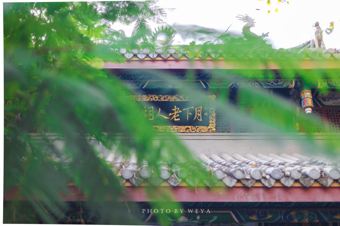 面面旅拍—诉不完千古泪,道不停三亚情,这个冬天我们掌心有太阳