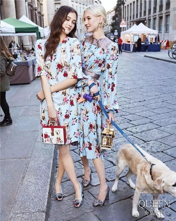 叮叮，这有一份你的狗年快递，大牌们为了中国的汪年也是费尽心思