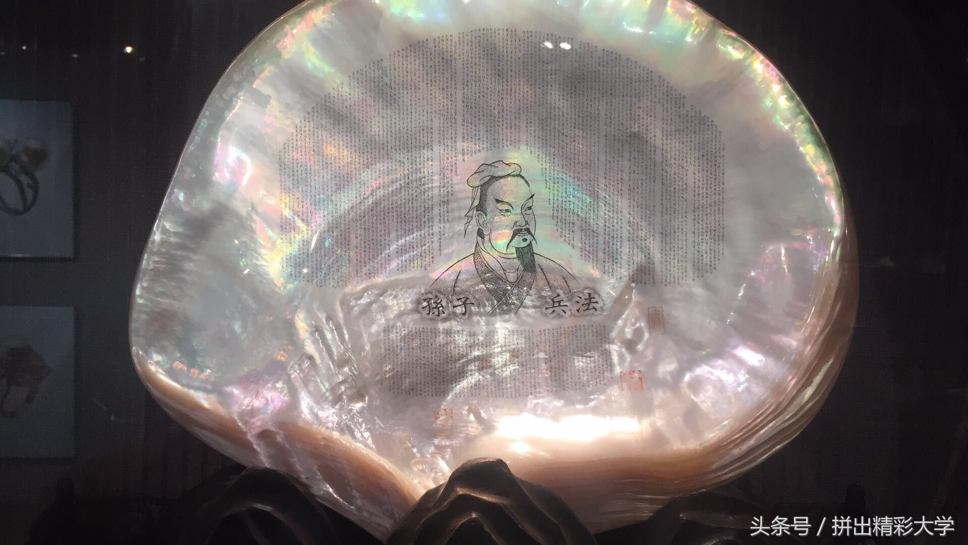 漂亮的贝壳的饰品,贝壳美丽饰品