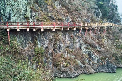 王者荣耀荣耀称号野区霸主,王者荣耀野区之王