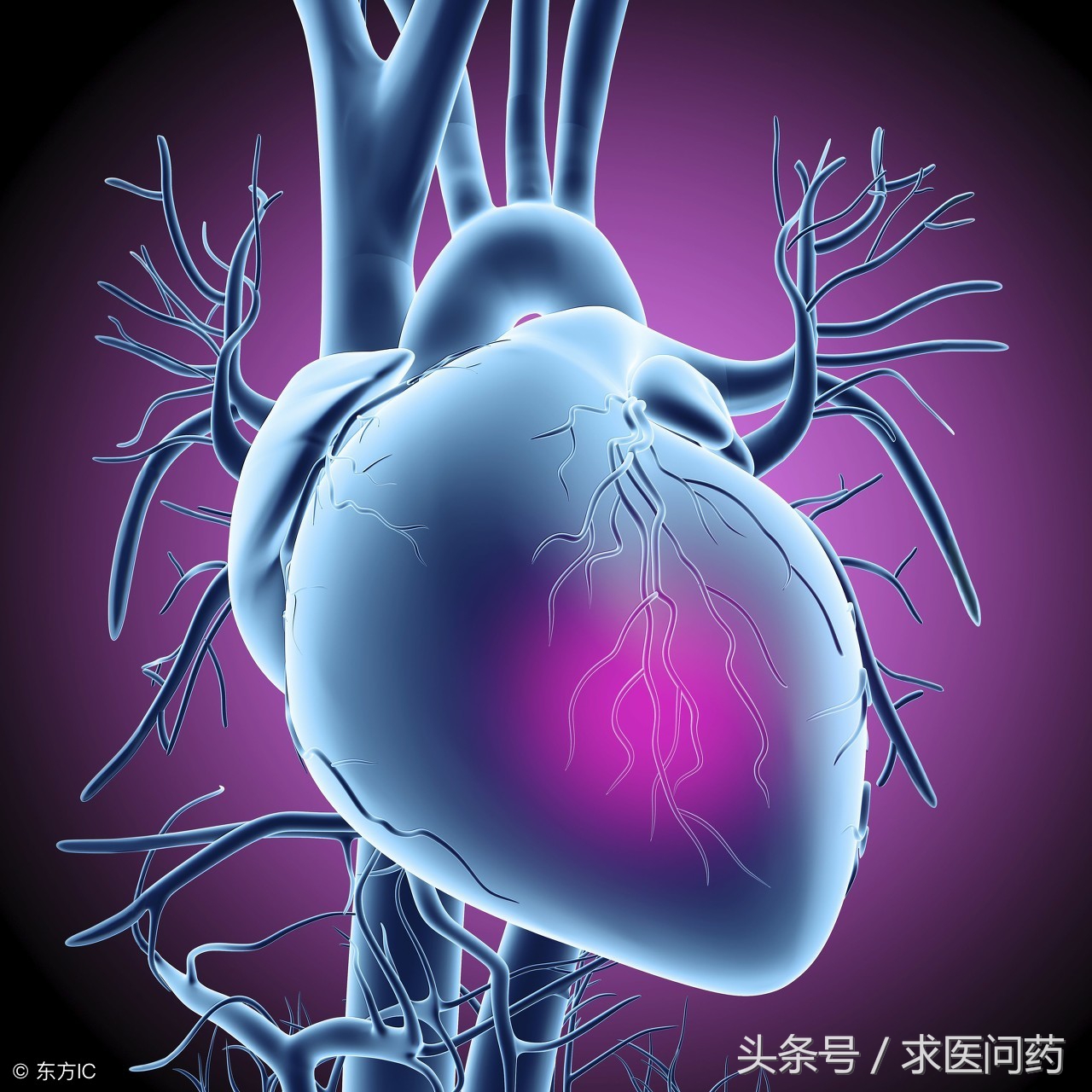 认识中医的气虚和血虚