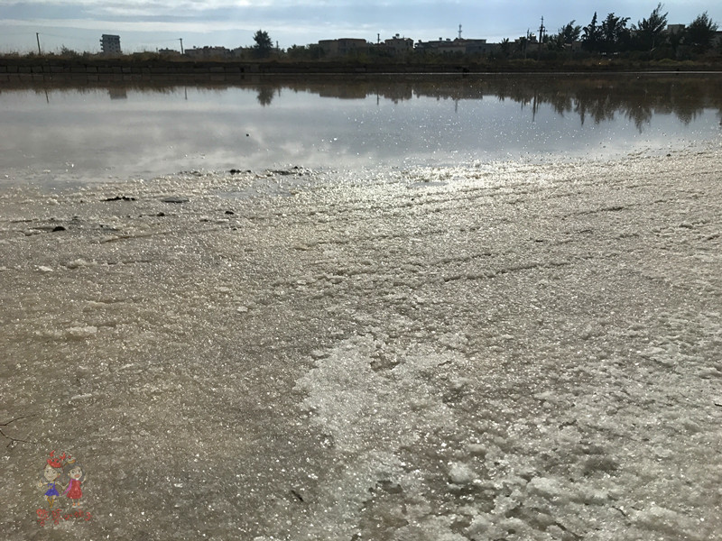看我国仅次于死海和红海的最咸海区！吃比广东还好吃的烤乳猪！