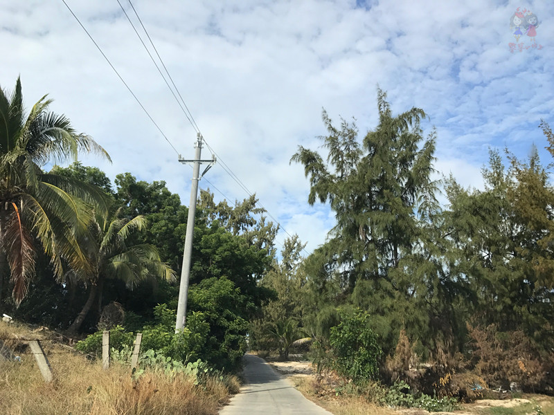 看我国仅次于死海和红海的最咸海区！吃比广东还好吃的烤乳猪！