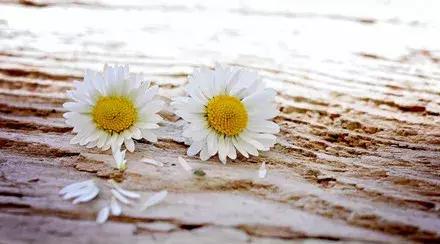 英语考纲一词多义,高考英语固定搭配包含动词原形