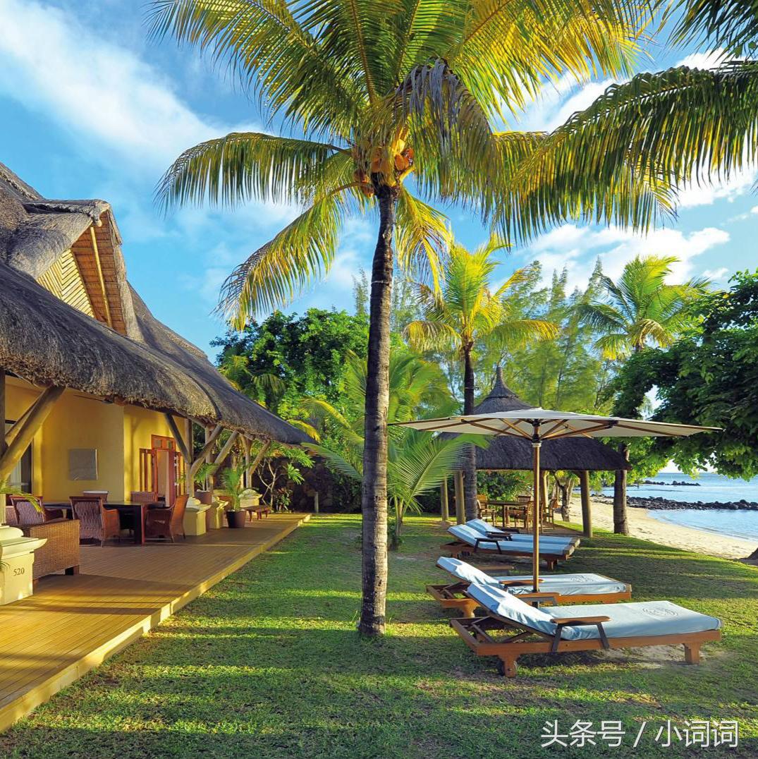 明星的婚礼都在哪里举行,明星中最浪漫的婚礼