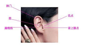 身上四块减肥“宝地”找到不怕瘦不下来