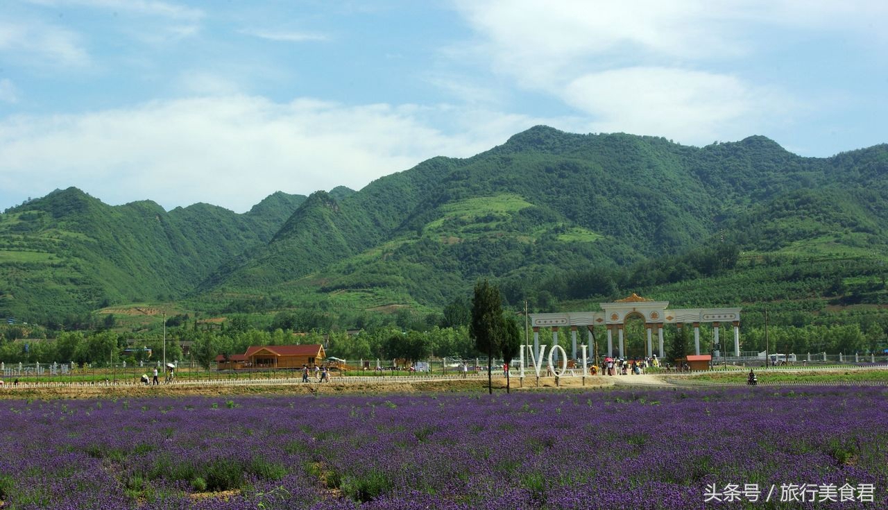 西安附近薰衣草庄园有哪些,西安周边薰衣草景区有哪些