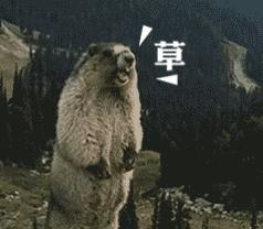 疫情代购被骗怎么办,做代购违规吗