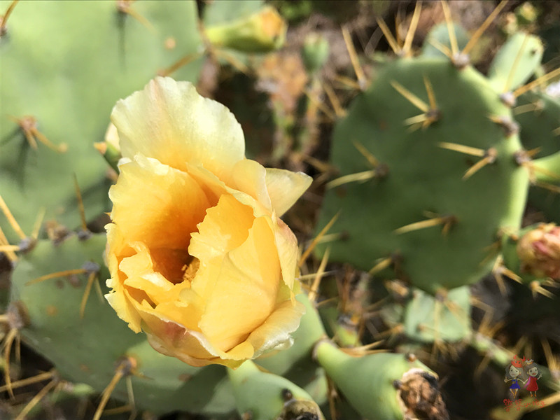 看我国仅次于死海和红海的最咸海区！吃比广东还好吃的烤乳猪！