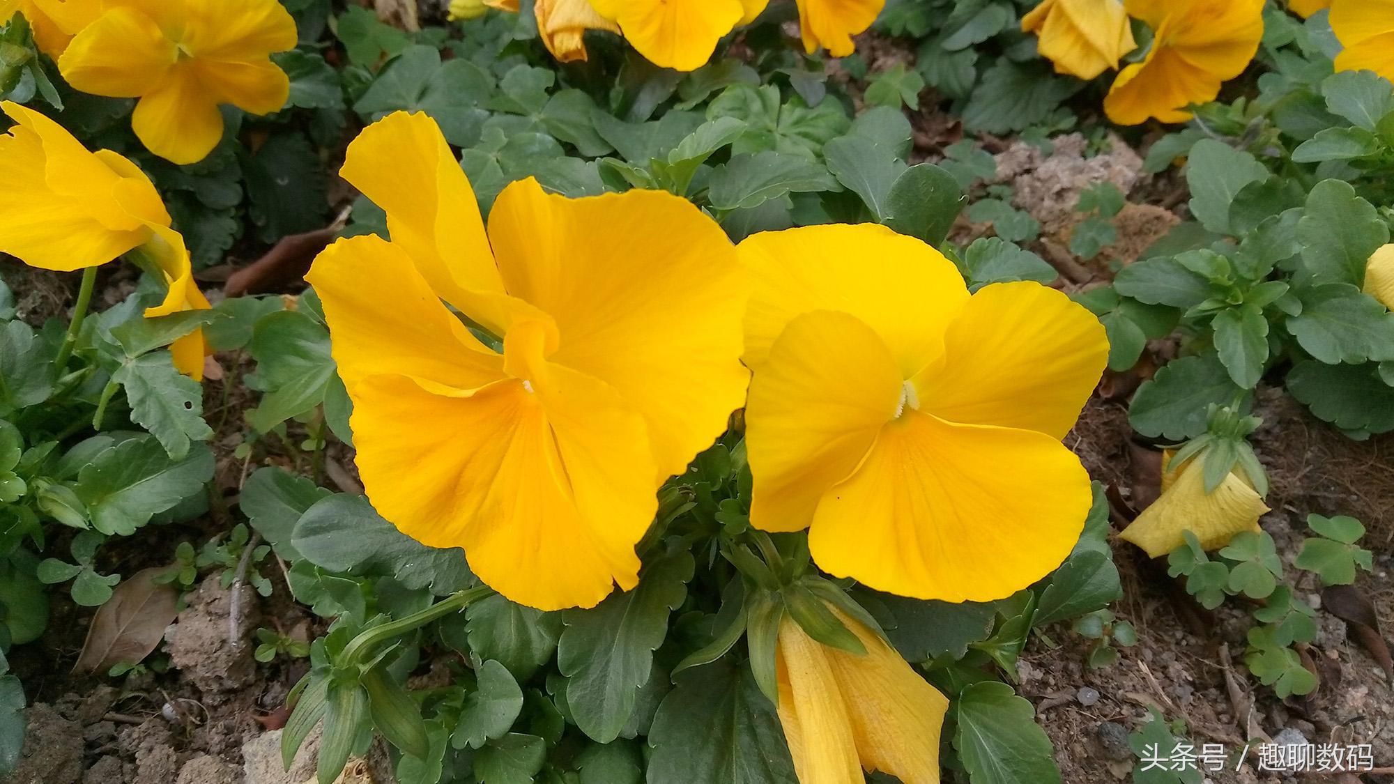 魅族5性能测评,魅族手机性价比5g推荐