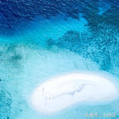 明星的婚礼都在哪里举行,明星中最浪漫的婚礼