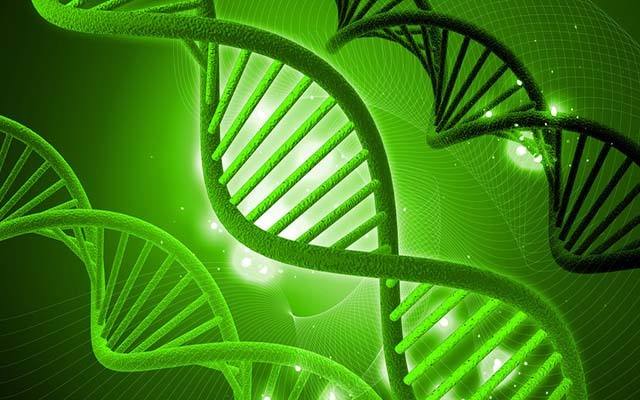 各科老师经典的对联,给各科老师写对联