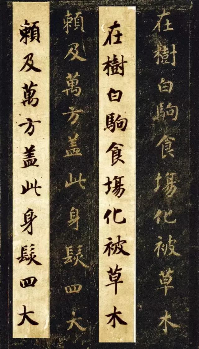 启功书法临帖大全,启功书法100常用字帖