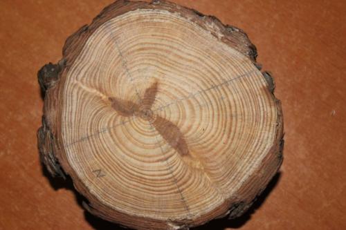 二年级在野外迷路了怎么辨别方向,野外迷路后我们通过什么辨别方向