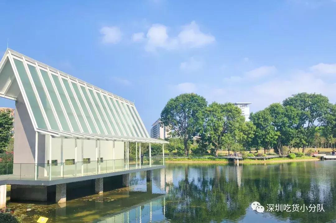 深圳福田结婚登记处环境,深圳最美结婚登记处