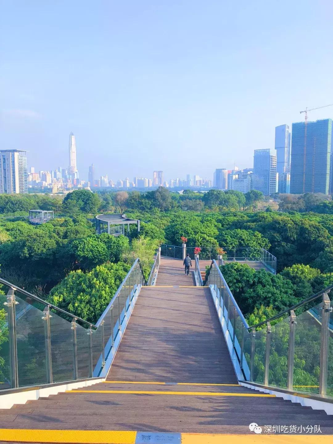 深圳福田结婚登记处环境,深圳最美结婚登记处