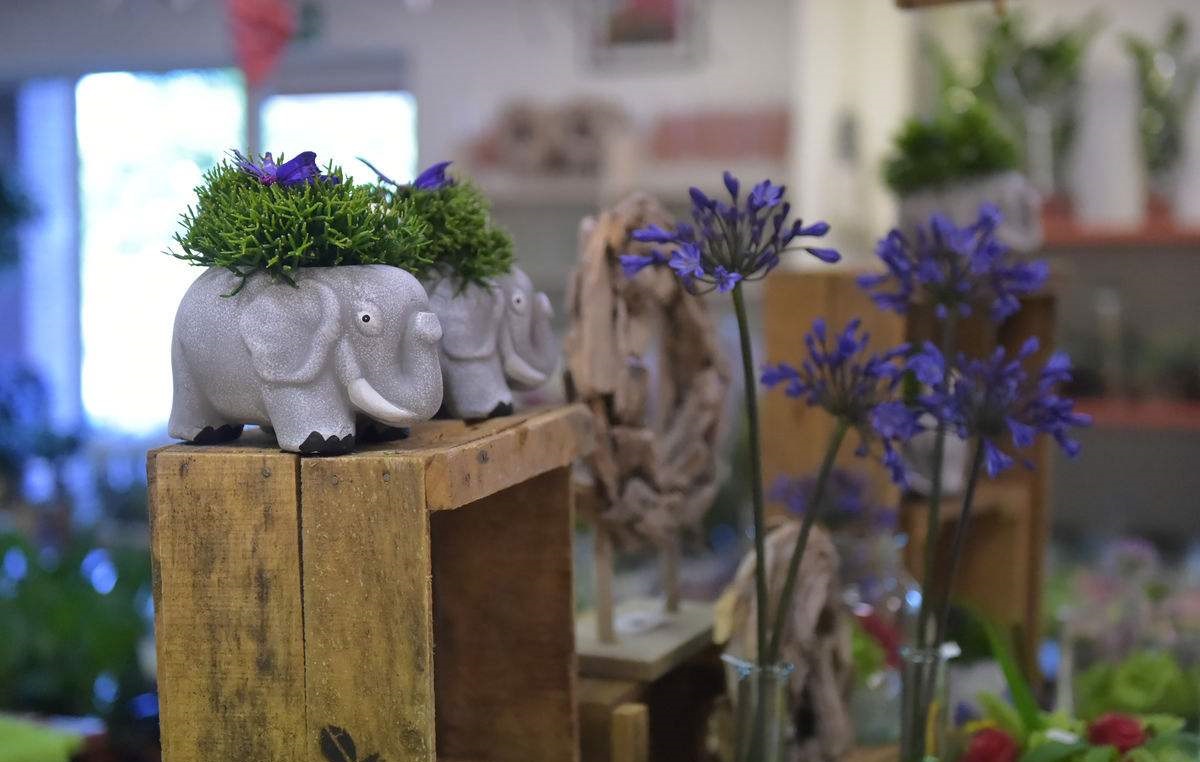 日本创业致富点子,农民致富10个方法