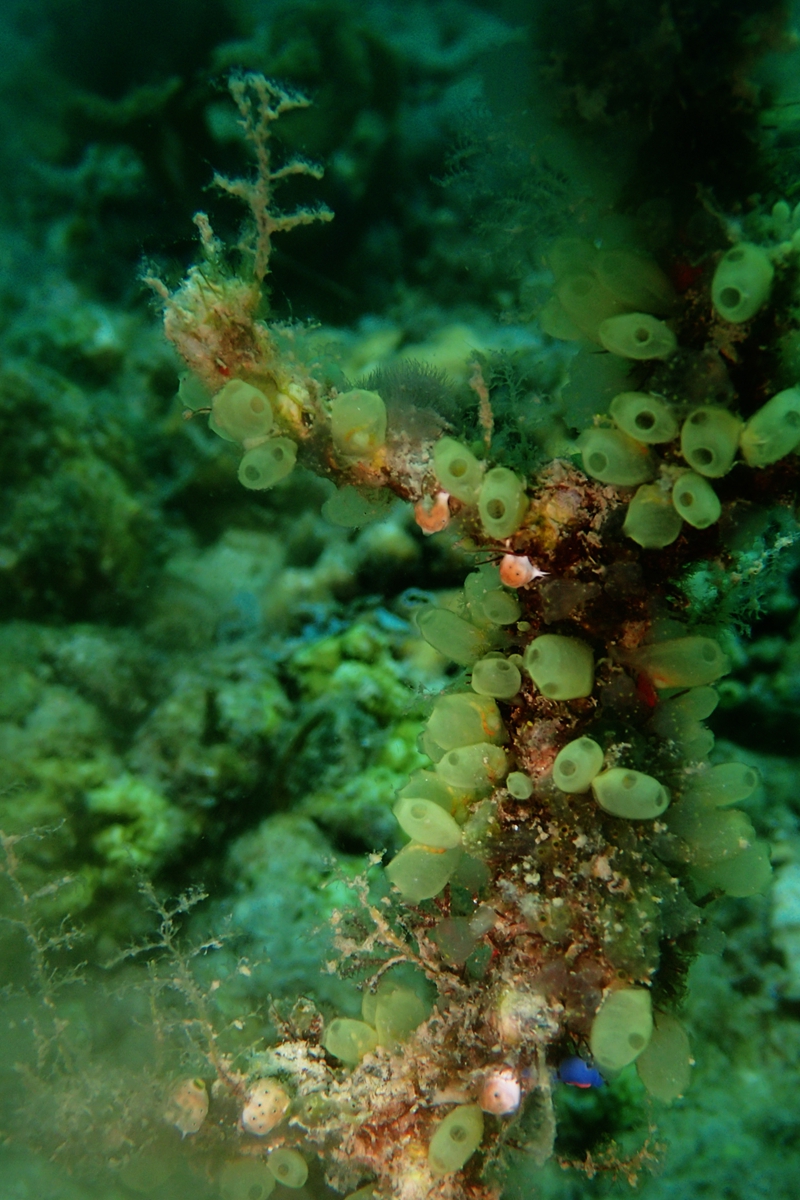 菲律宾科隆群岛游,菲律宾巴拉望科隆群岛自由行
