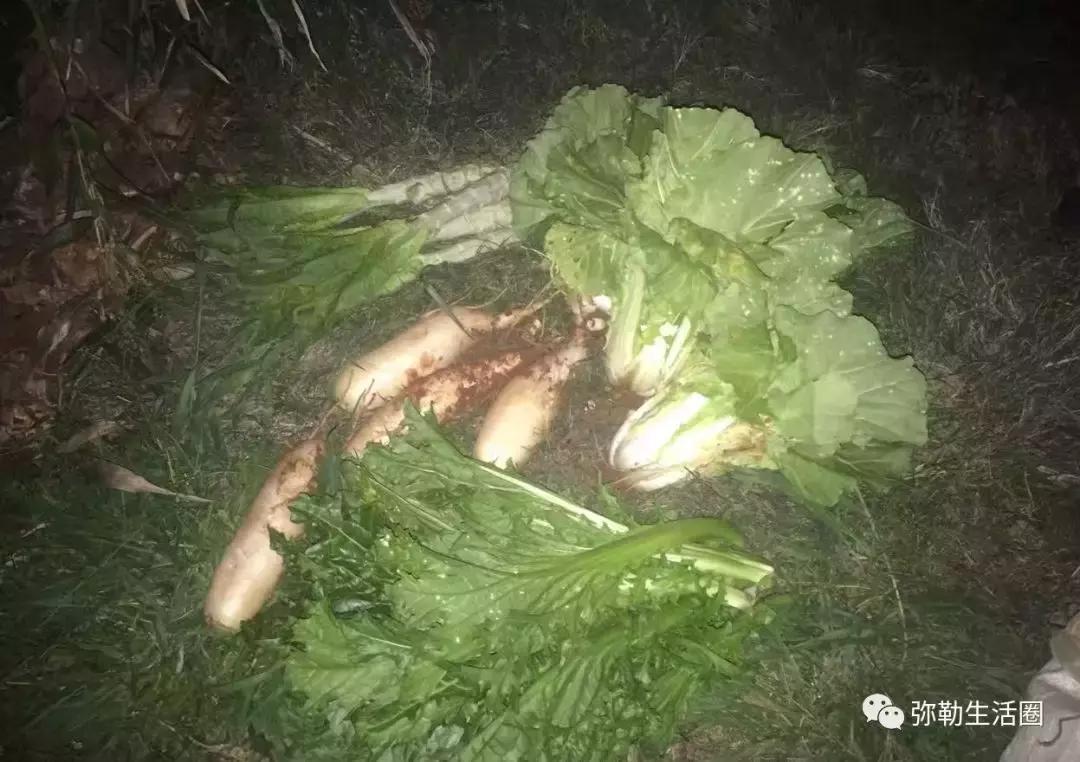 弥勒最好吃的清真餐馆炒菜,弥勒好的菜馆