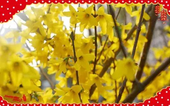 祝大家小年快乐万事如意健康平安,祝大家小年快乐开开心心幸福美满