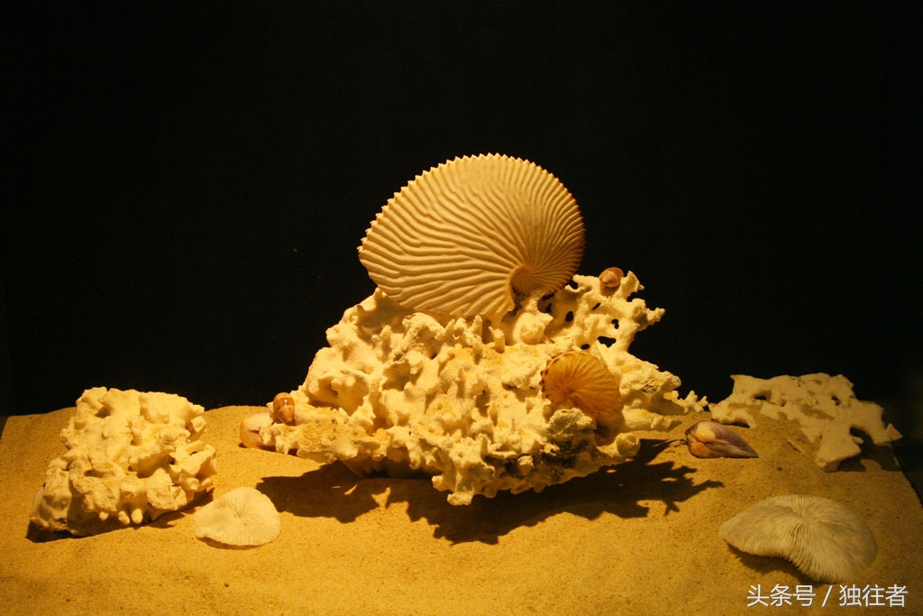 东方夏威夷是指亚龙湾吗,世界三大湾亚龙湾夏威夷