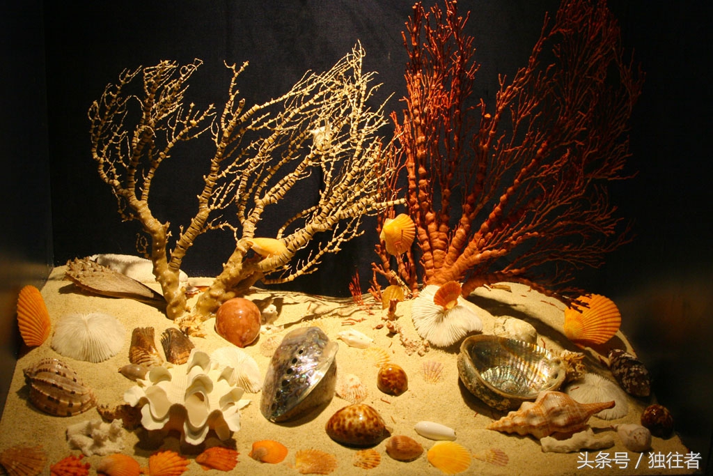 东方夏威夷是指亚龙湾吗,世界三大湾亚龙湾夏威夷