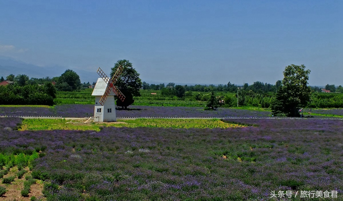 西安附近薰衣草庄园有哪些,西安周边薰衣草景区有哪些