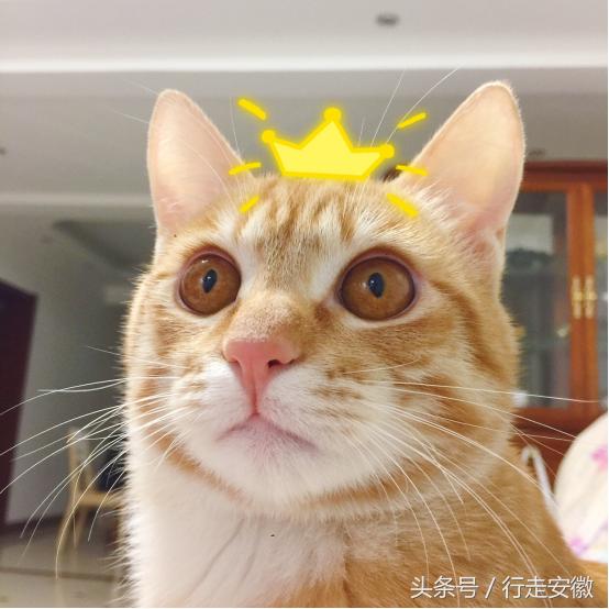 不好，“蛋蛋”有危险