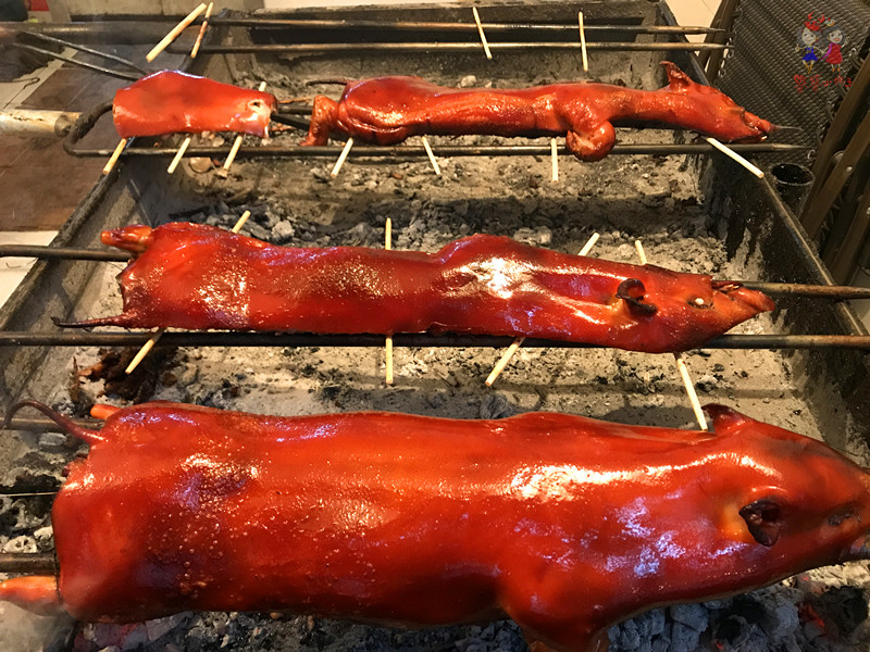 看我国仅次于死海和红海的最咸海区！吃比广东还好吃的烤乳猪！