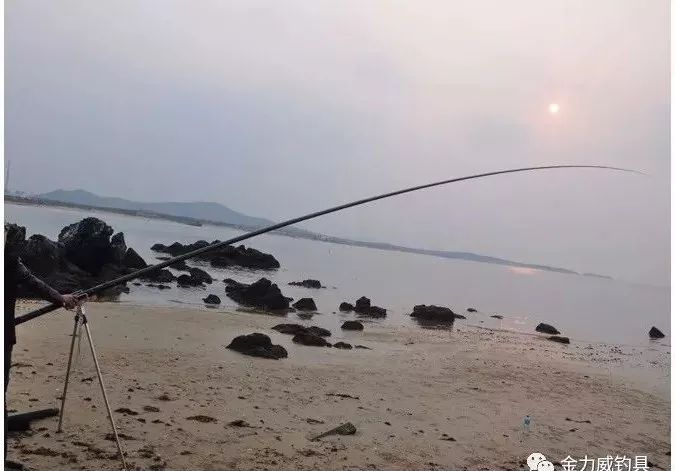 阿布加西亚鱼竿系列分类,鱼竿分类图片大全