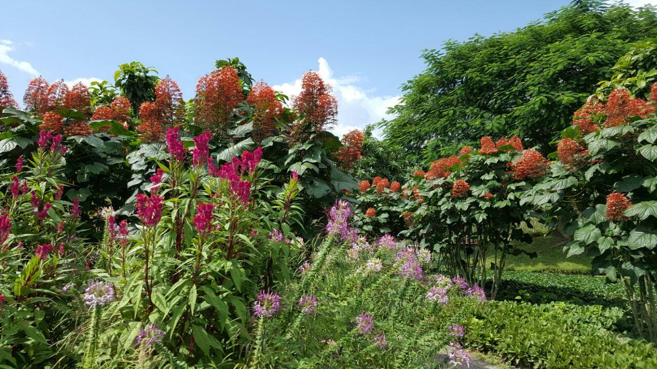 带你去看云南的西双版纳,云南到底有多滇