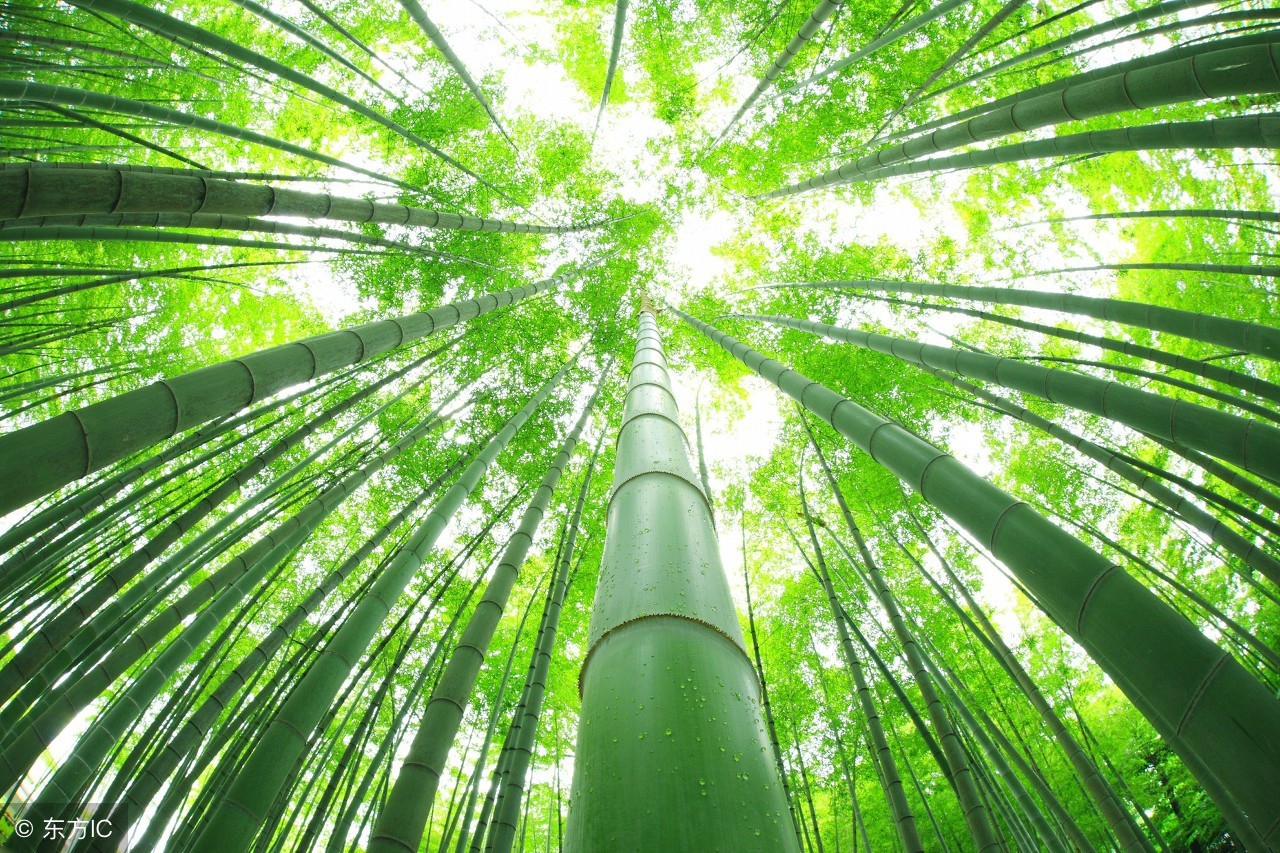 终于找到完整版的成语接龙,史上最牛的成语接龙完美排版